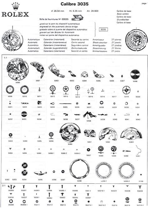 rolex watch manual pdf.